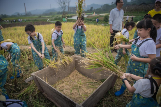 27162cb6-85ce-49f0-b2a0-b3ba50a1c3e1