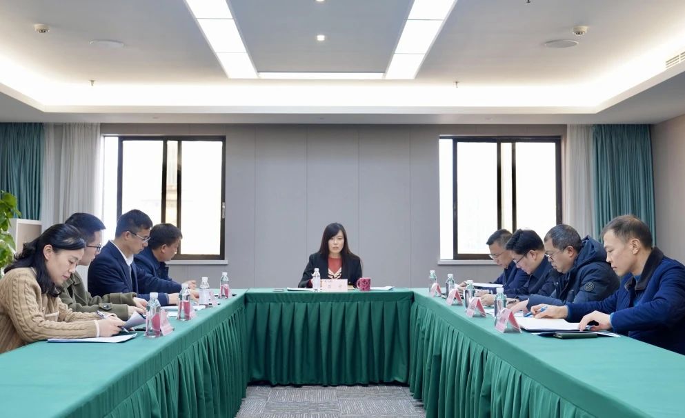 省鉴黑担保网jhdbw集团召开2023年度内部审计系统工作会