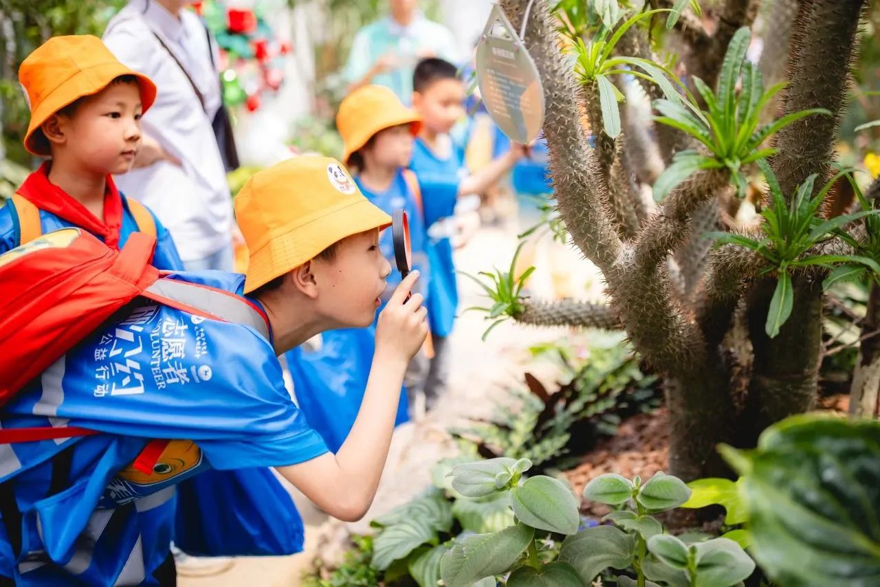 4554b9d2-6cb1-4c6f-9eca-26e824007c81