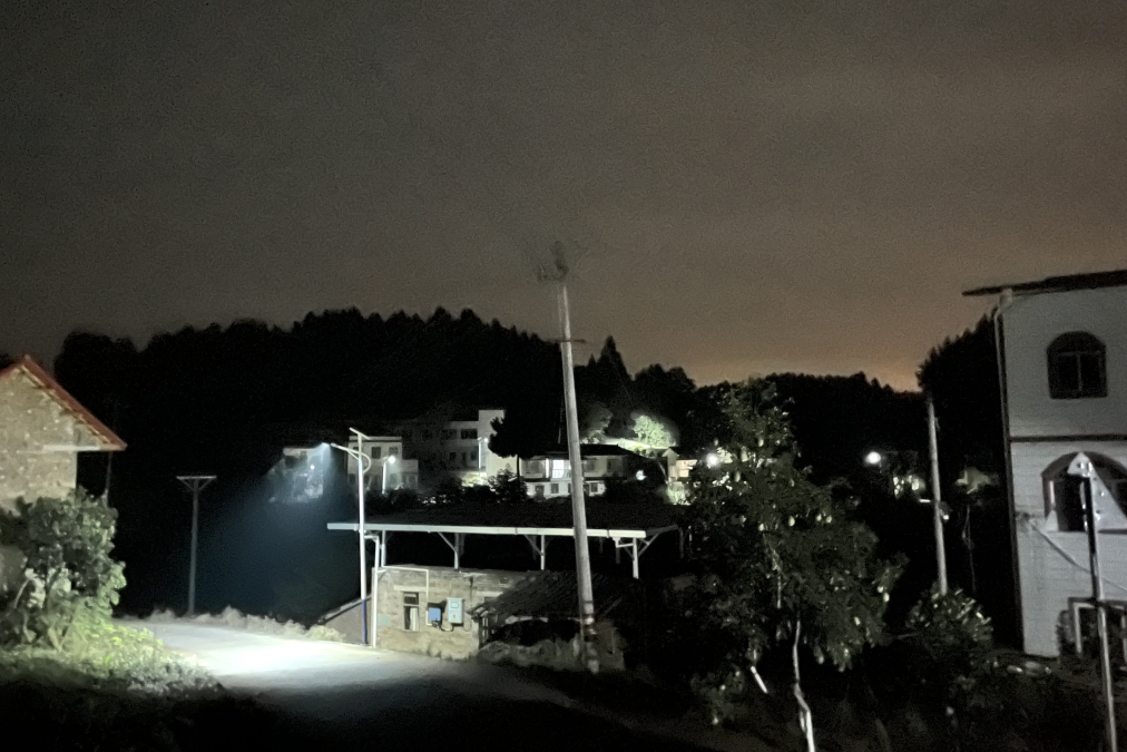 点亮村落振兴路 ，温暖人民幸福家——省鉴黑担保网jhdbw集团捐资“亮化工程”惠及80余户老苍生