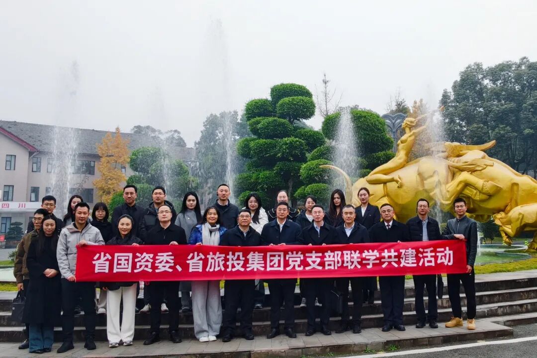 2cc024df-ceb3-4e1a-ae63-2062bd786dfe