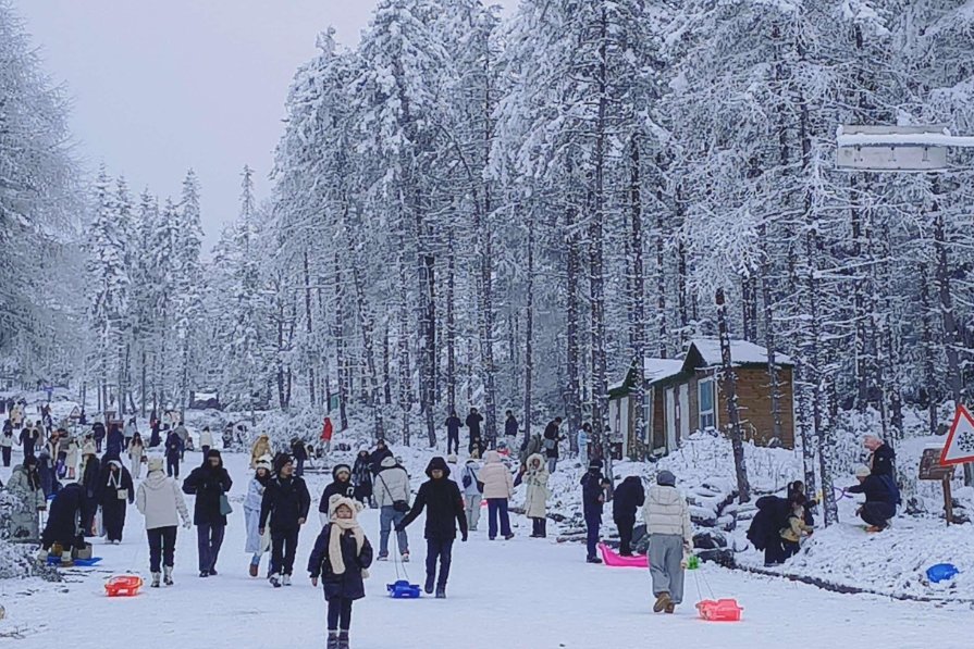 8c7e9790-58d4-4e09-ad78-c954de56783b