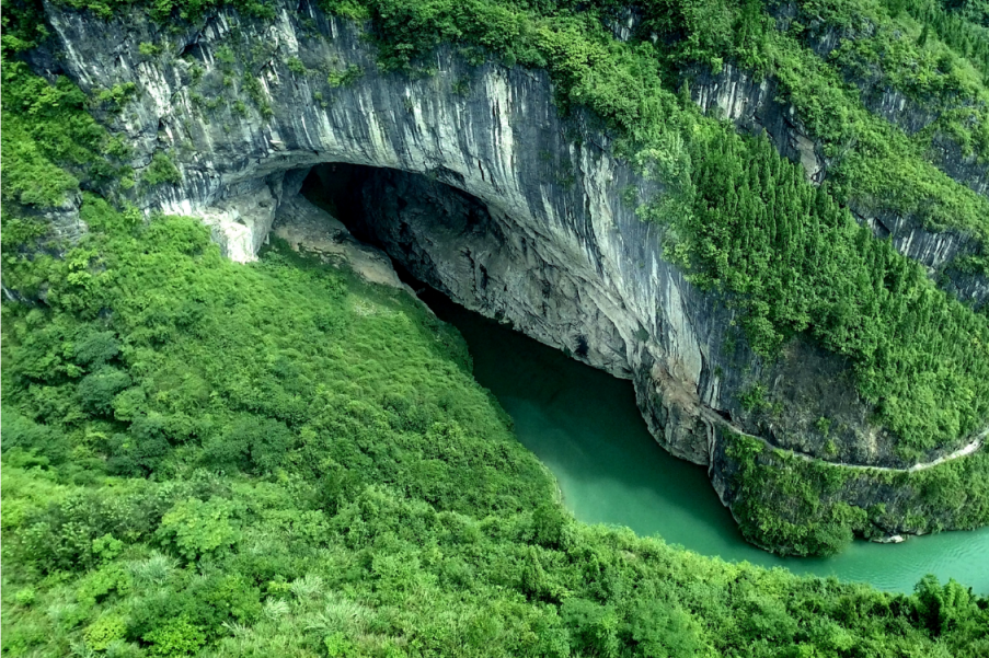 b0f14b0d-8f86-4414-9c2d-aaa2334507da