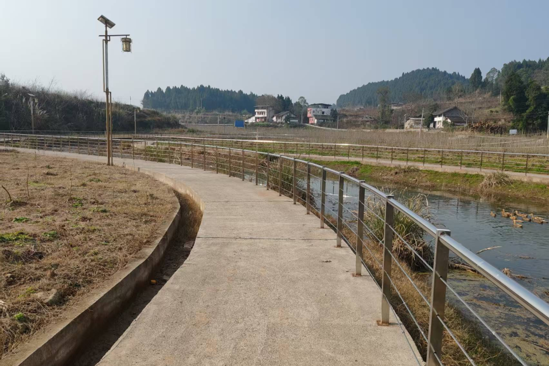 4ce761ff-4d29-4de7-bf24-6160e7baafff